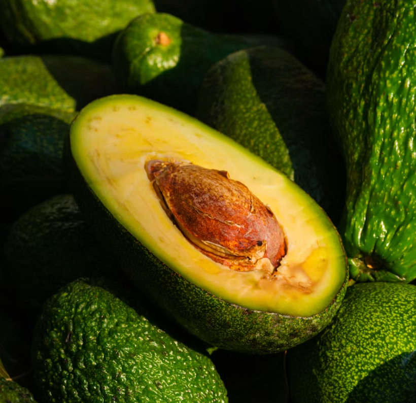 Avocado Oil