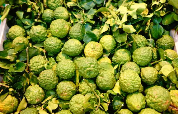 Bergamot Peel