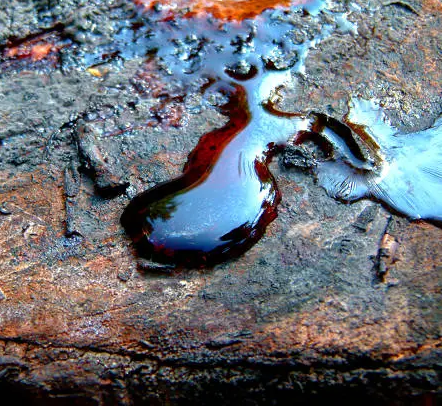 Ho wood oil